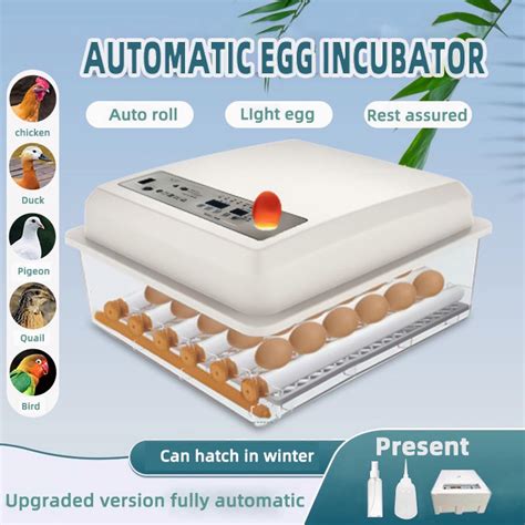 華美牌孵蛋機|華美牌 AU100全自動多功能微電腦恆溫箱~孵蛋器~孵蛋機~孵蛋。